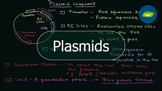 Plasmid | Components of a Plasmid | PET vectors | Genetic Engineering | Basic Science Series