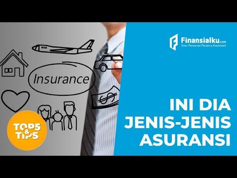 Video: Apakah ada berbagai jenis asuransi judul?