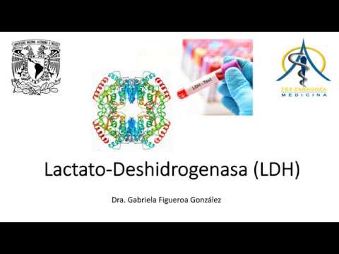 Vídeo: Prueba De Lactato Deshidrogenasa: Tipos, Procedimiento Y Resultados
