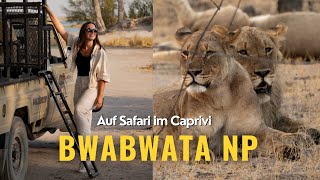 Safari in der Mahango und BUFFALO CORE AREA | Bwabwata Nationalpark im Caprivi | Namibia