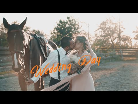 Ani \u0026 Gio / Georgian Wedding