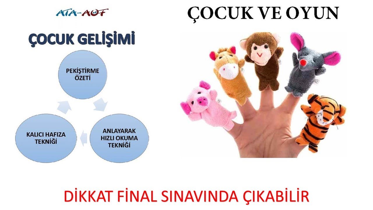 Çocuk ve Oyun (DİKKAT FİNAL SINAVINDA ÇIKABİLİR)