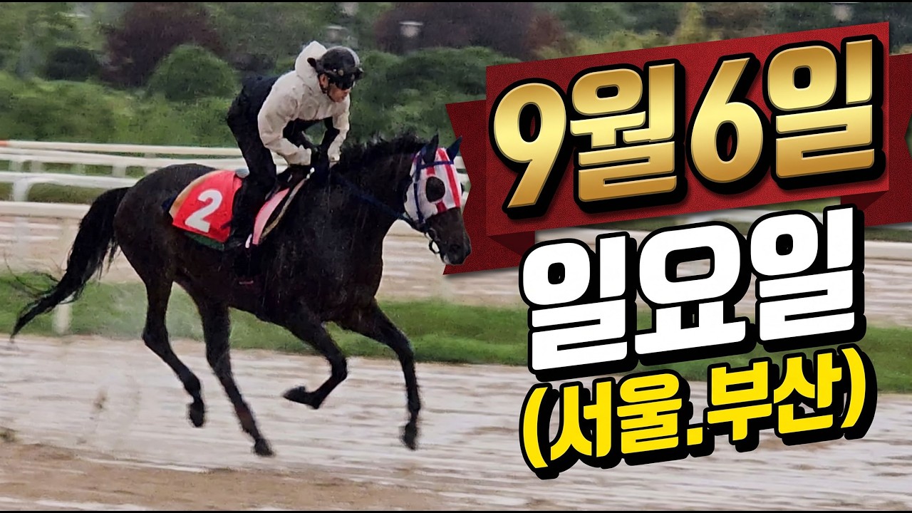 [ 2026년 9월 6일 일요(서울.부산)경마~!]
