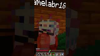 Ela é o ZORO em pessoa #minecraft #minecraftmemes