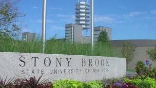 Famous So You Want to Work On Campus Wealth