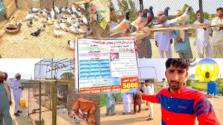 Kabootar Bazi Tournament 2022 | Day 1| Yara Naal Baharan Tournament 👈| Hamza Sidhu