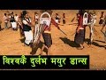 विश्वकै दुर्लभ जाजरकोटको मयुर डान्स  || Mayur Dance || Jajarkot Nepal