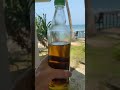 Шри Ланка. Панчакарма и утренний напиток. #funny