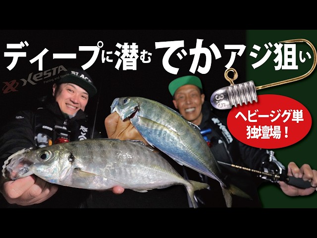 Big Horse Mackerel in a Row!] Aiming for big horse mackerel