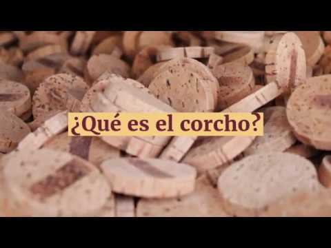 Vídeo: Diferencia Entre Corcho Y Corteza