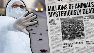 Worldwide Mass Animal Deaths Still Unexplained