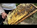 The best raw honey #honey #raw honey