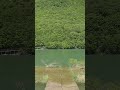 Quiet Lake & Birdsong in Hokkaido, Japan 🕊️🌊 #Shorts