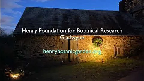 Henry Botanic Garden, Winter Solstice 2022