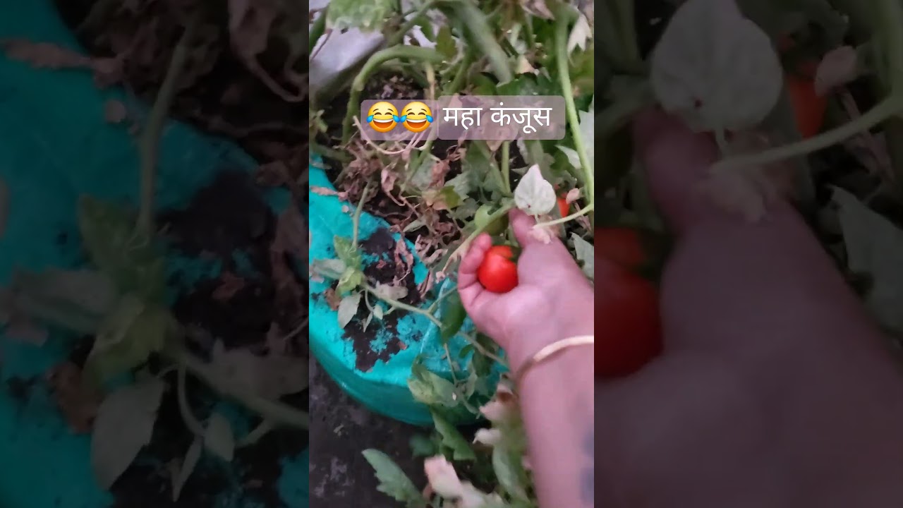 महा कंजूस 😂😂 