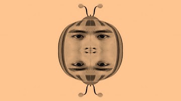 COCOMARTIN Intro Part 20 COCOMELON PARODY - Special Audio and Visual Effects Weird Funny Video Edit