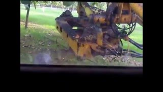 shockwave nut tree shaker