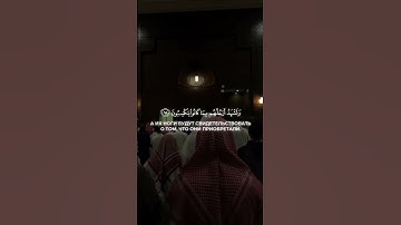 سورة ياسين#quranquotes #quran #quranic #القران #القران_الكريم #muhammadalluhaidan #qurankareem