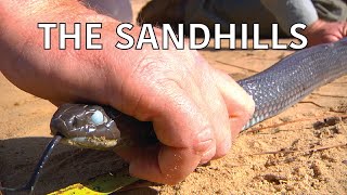 Coastal Kingdom | Season 2, Episode 8 – ‘The Sandhills’ | Full Episode