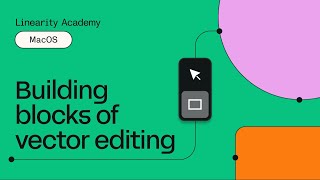 Building Blocks of Vector Editing | Learn Curve on Mac