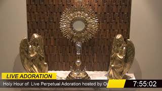 Holy Hour of Adoration at Our Lady of Guadalupe of The Blessed Sacrament