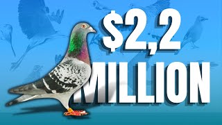 Most Expensive Birds in the World