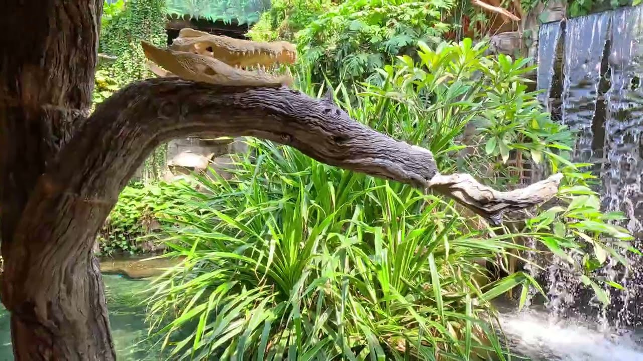 Tierpark Hamburg Hagenbeck Tour 2025