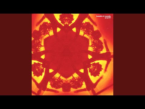 Putar You Could Feel The Sky - Boards of Canada