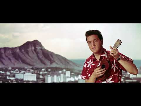 Elvis: The Searcher | Trailer | Pre-Order Now