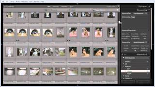Lightroom keyword queries