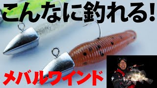 【メバリング】始めようメバルワインド～辻本ナツ雄（ポッキン）