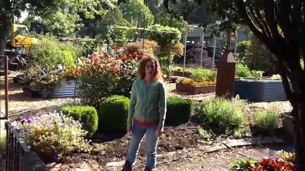 How to Measure your Yard for Mulch or Bark dust YouTube