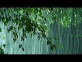 Pure Heavy Rain In Forest & Powerful Thunder At Night (10 Hours) ⚡⚡ Thunderstorm Sounds For Sleeping