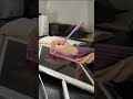 Study with my cat, doing Math homework