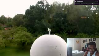Are Spiders Overpowered? REACTION