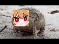 A Very Angry Kaheru