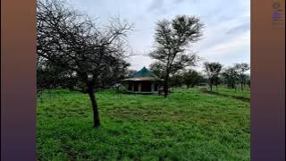 Osero Tented camps - Serengeti Tanzania