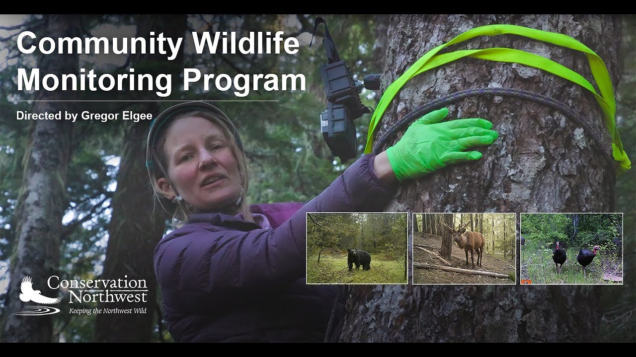 Community Wildlife Monitoring Program | 2022 Promo | Directed by Gregor Elgee