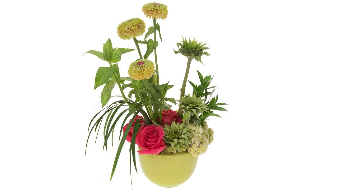 Amazing Zinnias 