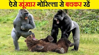 गोरिल्ला के सबसे खतरनाक हमले | Gorilla's Most Dangerous Attacks by Wild Gravity 10,445 views 5 months ago 8 minutes, 1 second