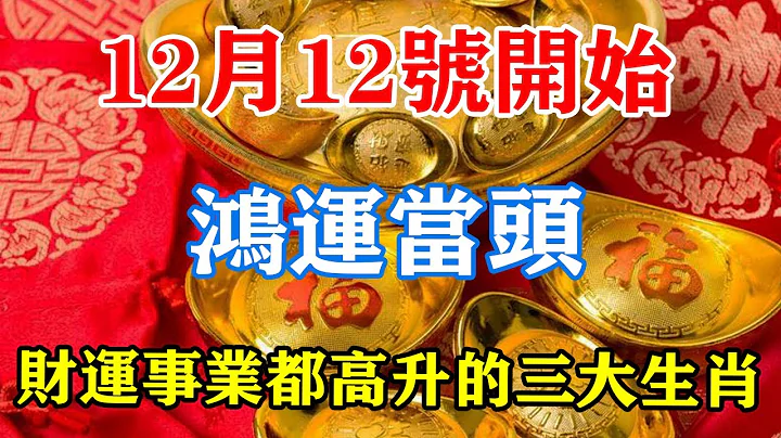 12月12號開始！鴻運當頭！財運事業都高升的三大生肖！#運勢 #風水 #佛教 #生肖 #發財 #橫財 【佛之緣】 - 天天要聞
