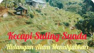 Download Lagu Kecapi Suling Sunda Hidangan Alam Menakjubkan Kampung Batu Nungul MP3 Download Lagu Kecapi Suling Sunda Hidangan Alam Menakjubkan Kampung Batu Nungul MP3
