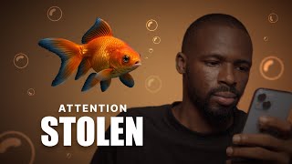 Your Attention Span Isn’t Broken!