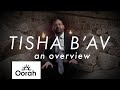 Tisha B’av - An Overview by Rabbi Eli Bohm