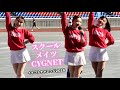 【チア？@新横浜②】歌も歌っちゃうんだ令和のスクールメイツ！ エモくて愛せるなぁ♡ / スクールメイツCYGNETさん / イイコトチャレンジ2026 / アイドル / Cheer