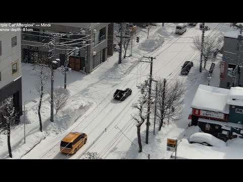 Snowfall in Sapporo, lofi radio 12 hours | March 2, 2024