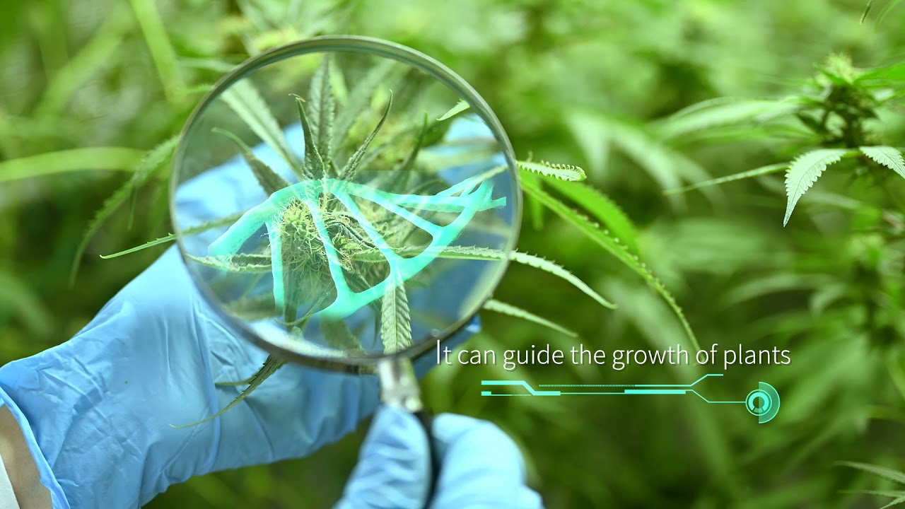 BESTVA Pro Series LED Grow Light