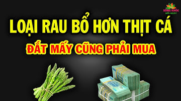 Bác sĩ tiết lộ LOẠI RAU giàu dinh dưỡng hơn cả THỊT CÁ cực kỳ bổ biết ăn sớm sẽ KÉO DÀI TUỔI THỌ