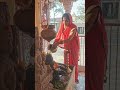 🌺💫 दिन दयालु महादेव 🌺🌺 .. #bhaktisong #sorts मेरे देवो के देव महादेव करो ..🌺💞💫🔱