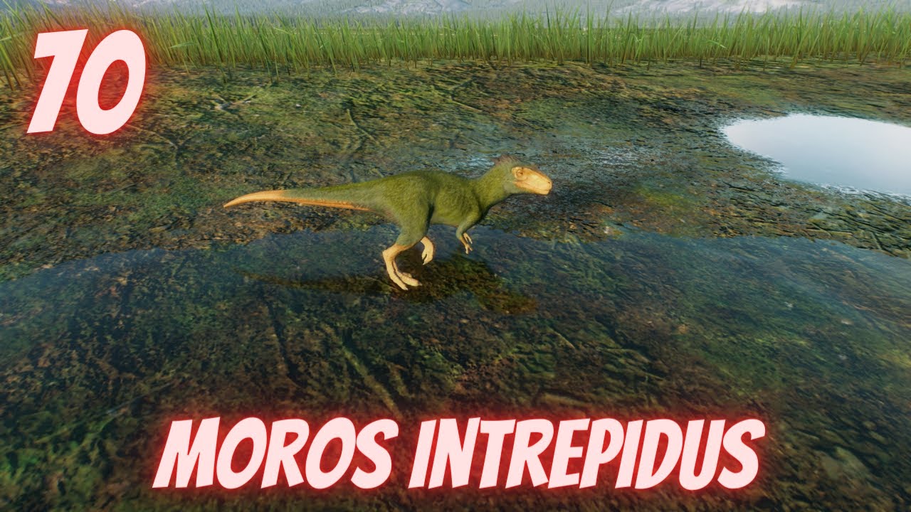 random-dinosaur-facts-in-under-a-minute-ep-70-moros-intrepidus-youtube